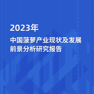 2023年中国菠萝产业现状及发展前景分析研究11旺真钱赌博